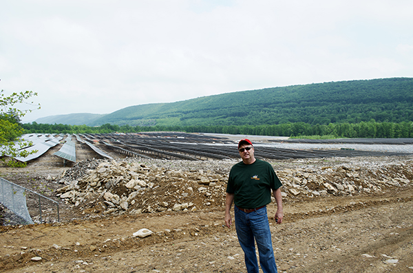 solar power project consulting