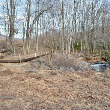 solar farm development services