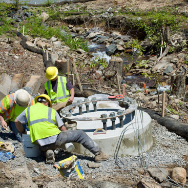 commercial solar development